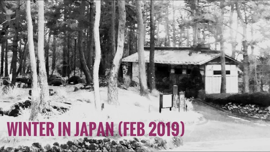 Tokyo / Japan (Winter, Feb 2019)