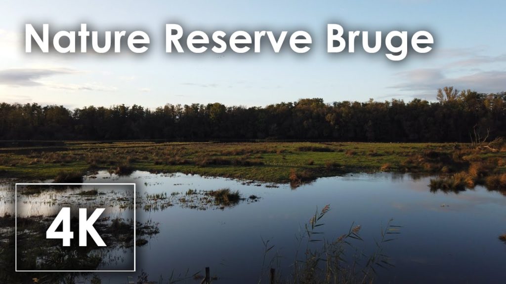 4k walk video BORDEAUX France :relaxing nature reserve Bruge, Nature Sound Sleep Relax  Osmo pocket,