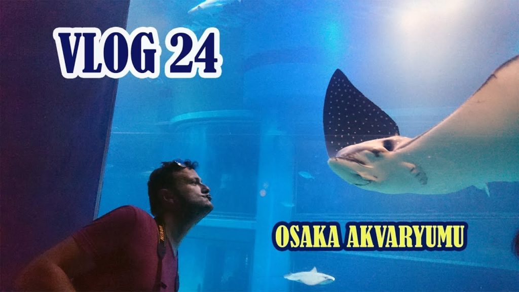 "Bir Çocukluk Hayali: JAPONYA!" 24 - Osaka Akvaryumu
