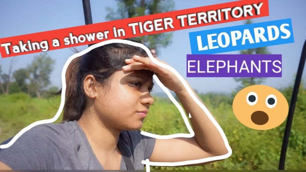 Natural shower in the WILD surrounded by TIGERS,LEOPARDS and ELEPHANTS| NANDHAUR WILDLIFE SANCTUARY