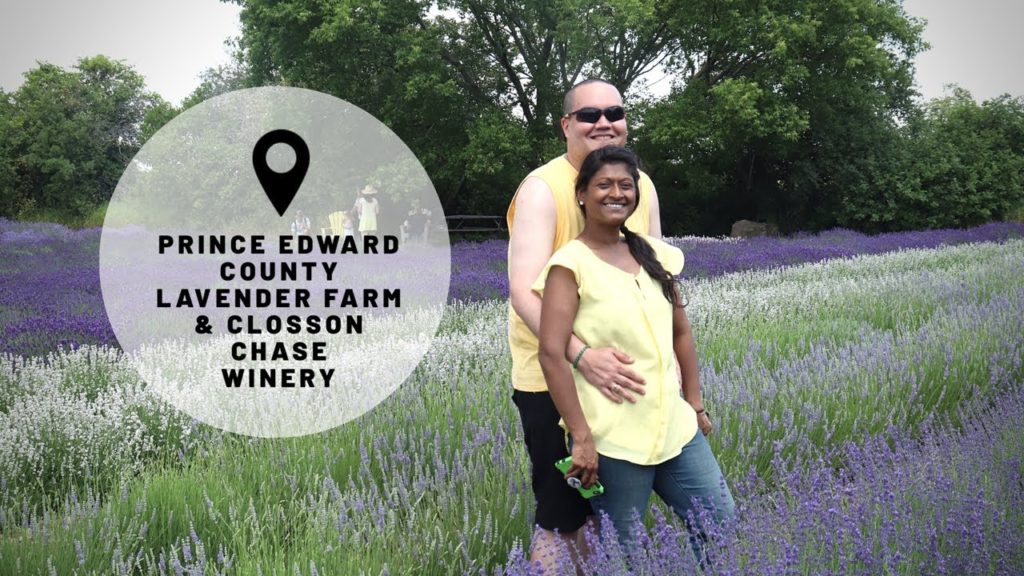Prince Edward County Lavender Festival & Closson Chase Winery