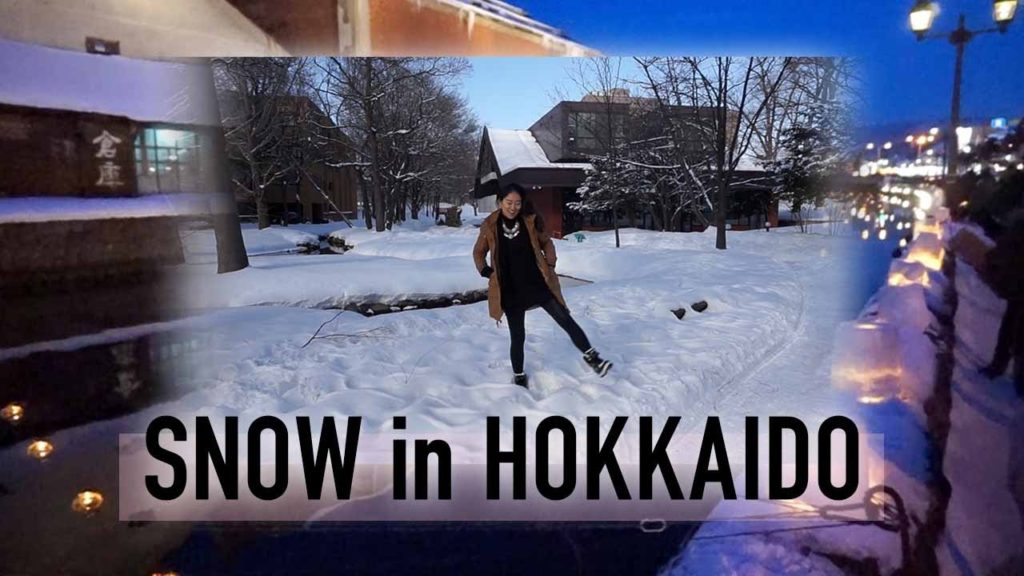 HOKKAIDO VLOG : Biggest Snow Festival in Japan / 北海道 雪まつり 札幌&小樽 / Festival de Nieve en Japon