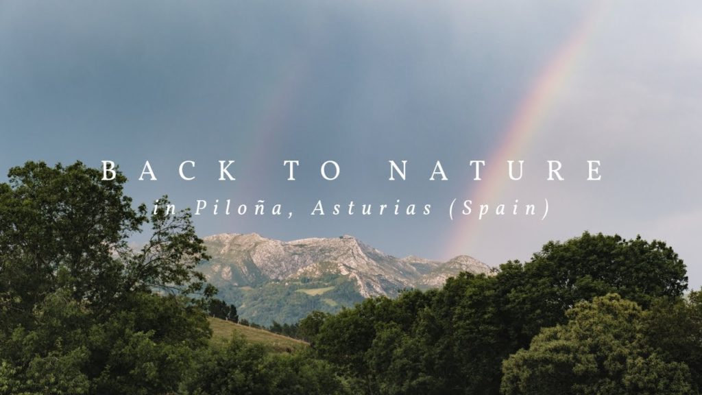 Piloña, Asturias / Back to Nature (Travel Film Shot on the Fuji XT3) Piloña, Asturias / Back to Nature (Travel Film Shot on the Fuji XT3)