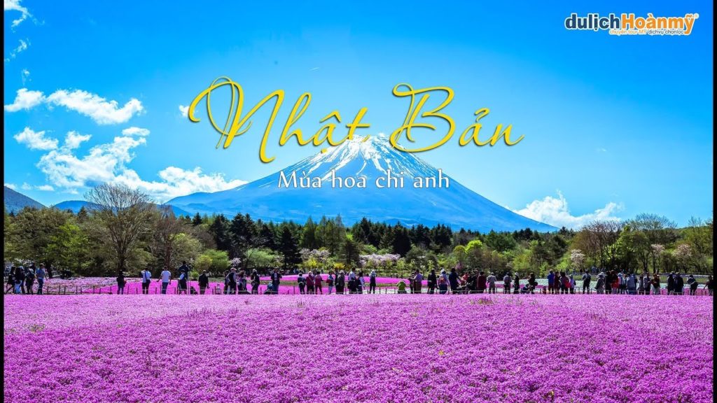 Nhật Bản - Mùa hoa chi anh ngọt ngào | Du lịch Hoàn Mỹ