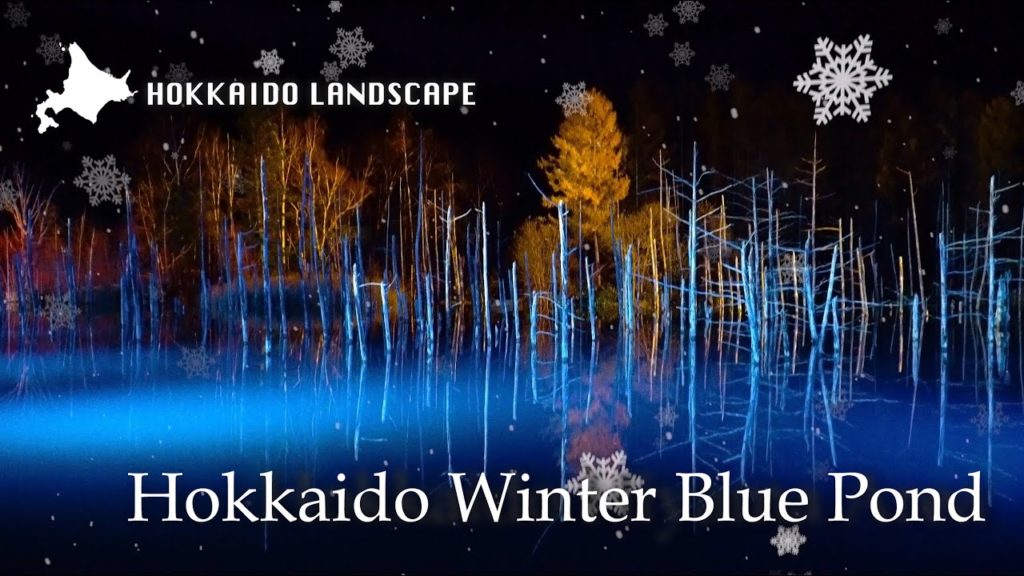 【一生に一度は見たい北海道の絶景】美瑛 青い池ライトアップ／Light up of the blue pond in Biei, Hokkaido