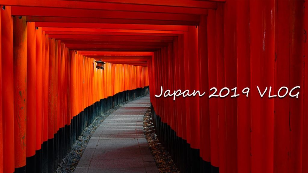 Back to Japan - Japan Reise VLOG 🇯🇵 | German