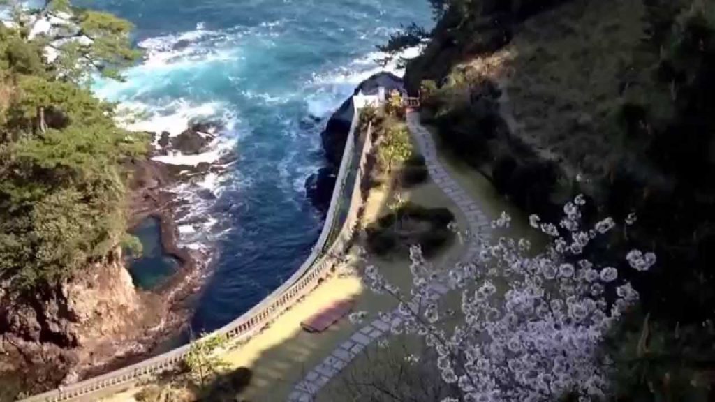 熱海のさくらと海　Atami Japan 2014