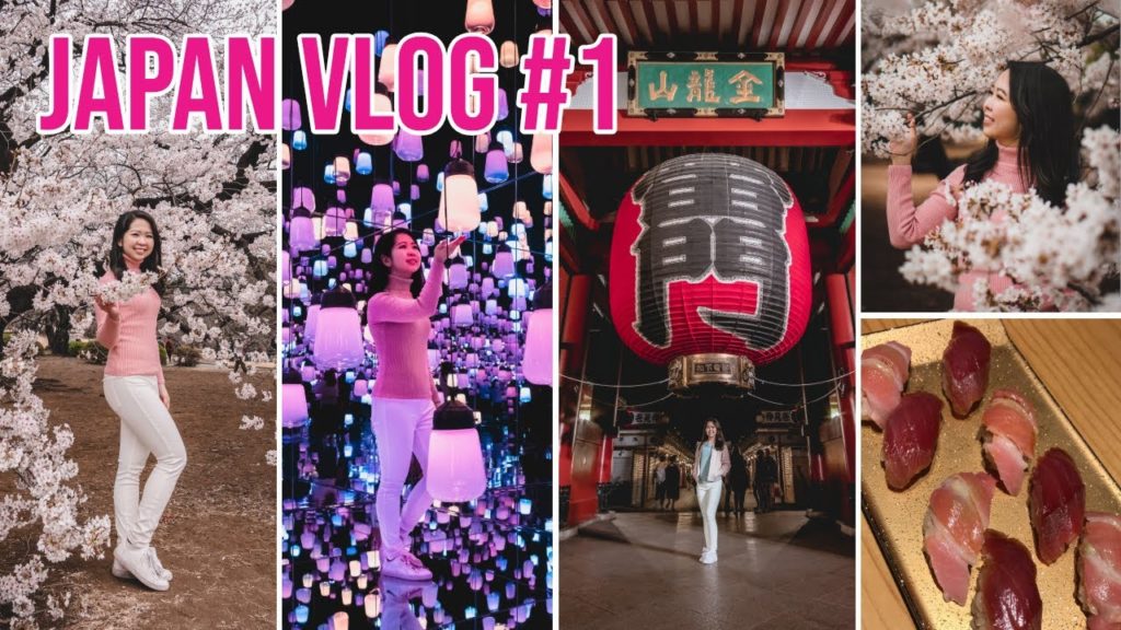Japan VLOG #1 - Sakura in Tokyo, Shinjuku Gyoen, Sushi Tokyo Ten, Gyukatsu Motomura, Teamlab Odaiba