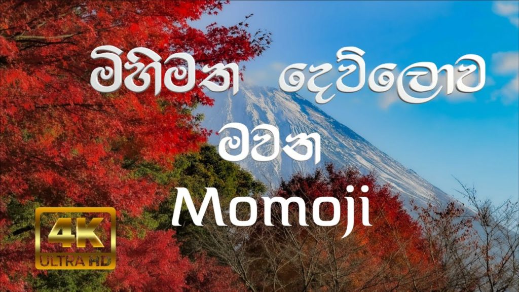 Autumn Leaves in Lake Saiko (紅葉)