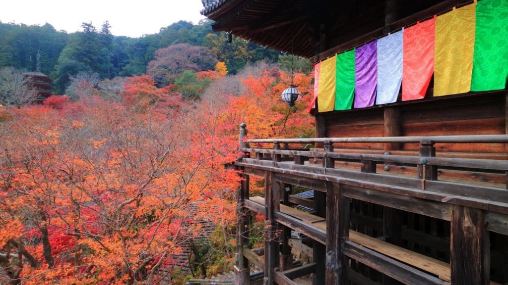 JG 4K 奈良 長谷寺の紅葉 Hasedera,Nara