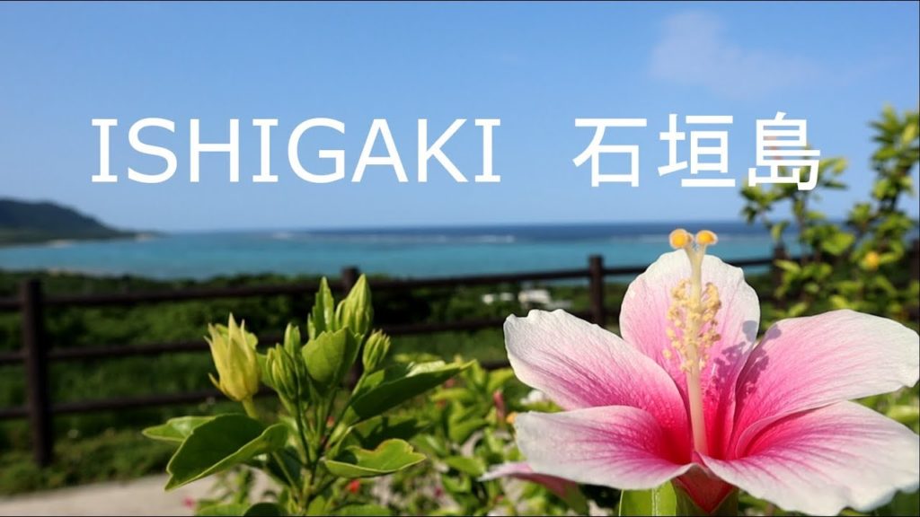 DIVING IN JAPAN OKINAWA – ISHIGAKI ISLAND DIVING IN JAPAN OKINAWA - ISHIGAKI ISLAND