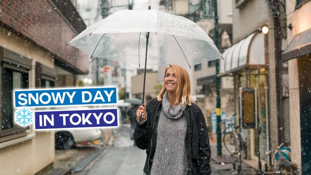 Snowy Day in Tokyo – Japan in Winter Vlog Snowy Day in Tokyo - Japan in Winter Vlog