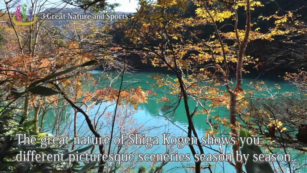 EBESA - Hands-on experience in Yamanouchi, Nagano