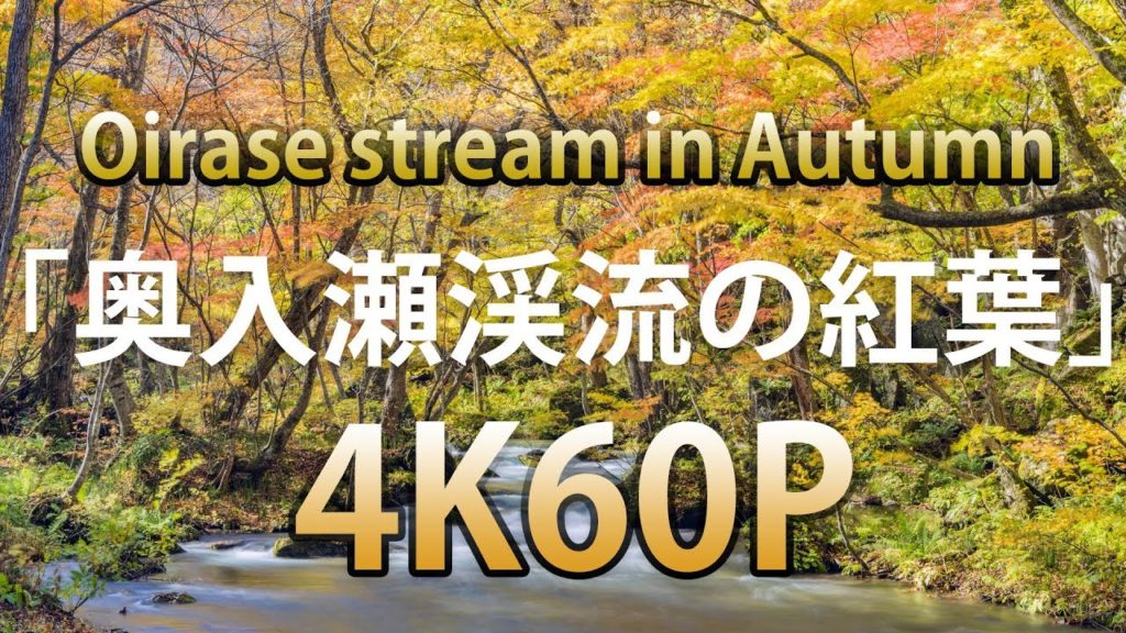 [4K60P] 美しい奥入瀬渓流の紅葉 Oirase stream in Autumn
