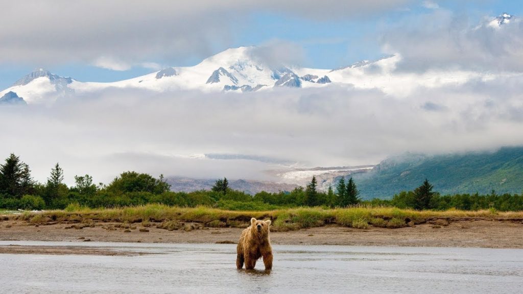 Viking Oceans: North Pacific Passage Itinerary