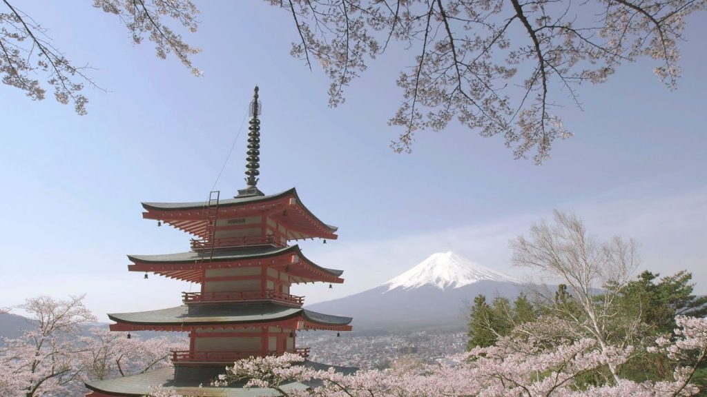 [ 4K Ultra HD ]富士山と桜 Mt.FUJI with Cherry Blossoms (Shot on RED EPIC)