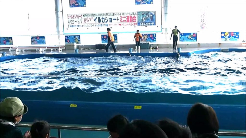 Dolphin Show @Shibushi Daikoku Iruka Land (Kagoshima, Japan)