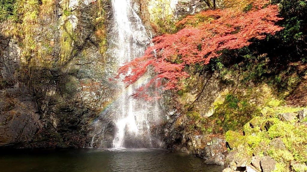 Japan Walking #51 Autumn leaves and Minoh Waterfall