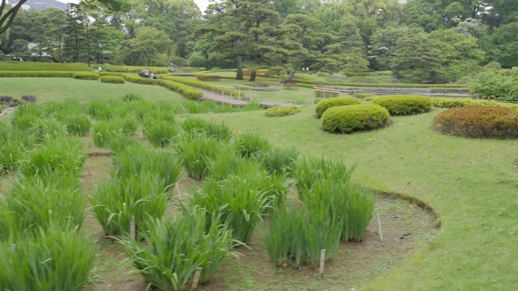 【4K】Tokyo Imperial garden videowalk