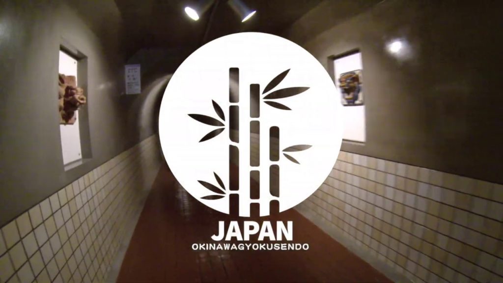 OKINAWA GYOKUSENDO 玉泉洞 2015