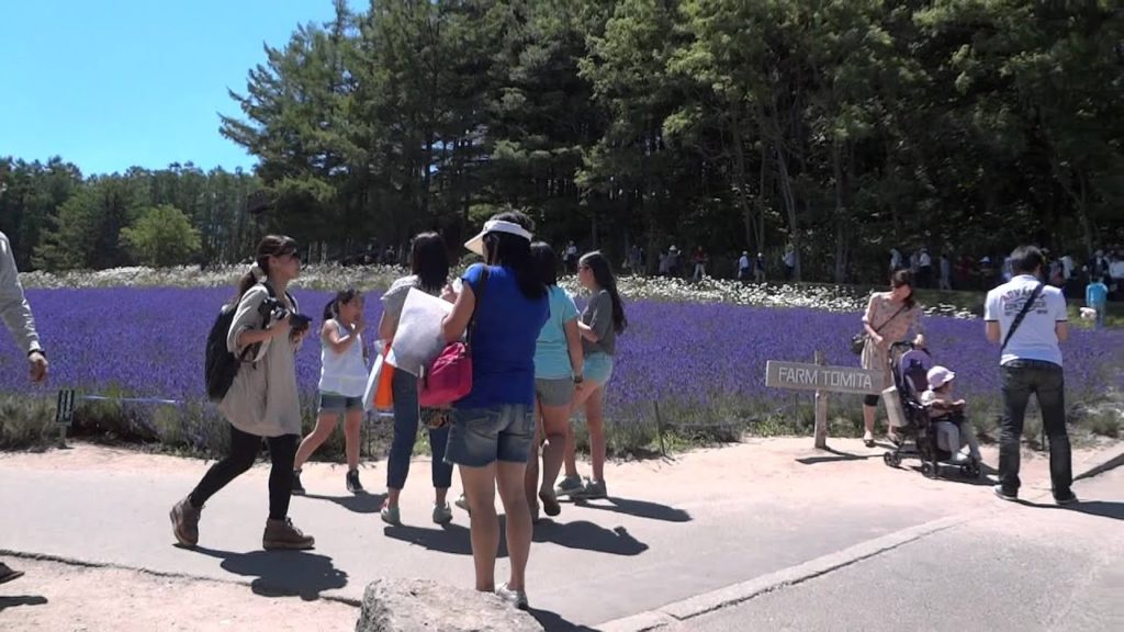 Peak Period at Farm Tomita