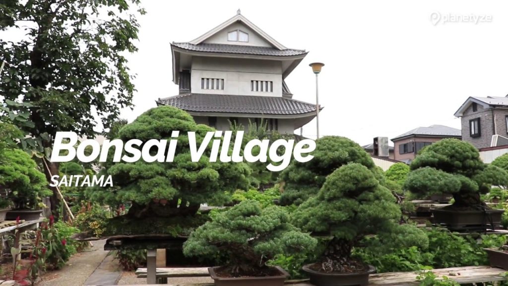 Bonsai Village, Saitama | Japan Travel Guide