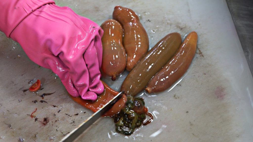 Korean Street Food - Spoon Worm :: Penis Fish