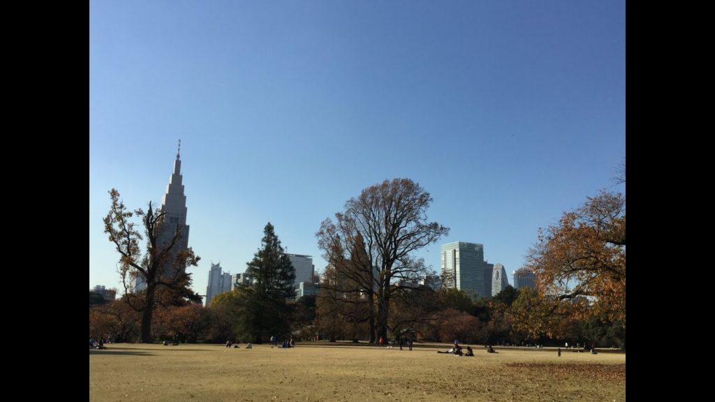 Popular Sightseeing Spots in Shinjuku  /Tokyo Travel Guide