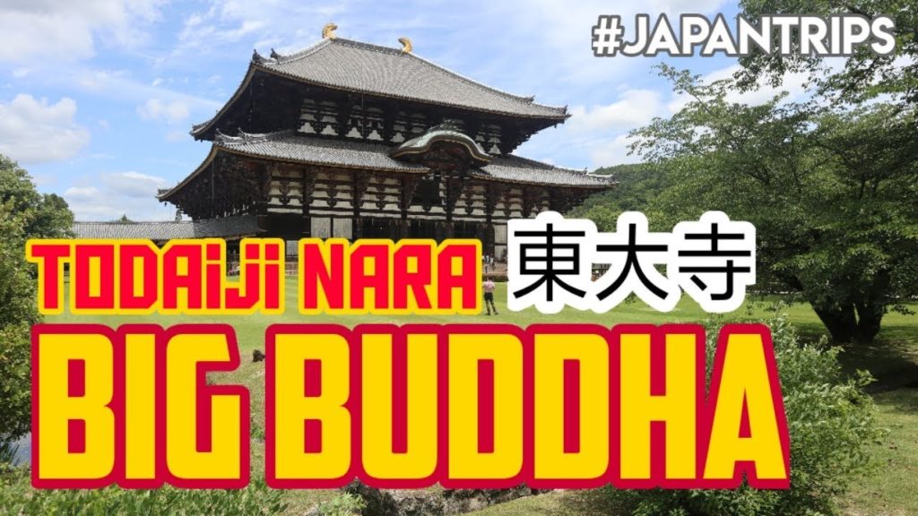 BERKUNJUNG KE KUIL Todaiji Nara Big Buddha - TRAVELING ke JEPANG