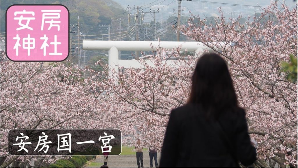 安房国一宮 安房神社 一之宮 延喜式名神大社 2016年4月 桜咲く房総へ