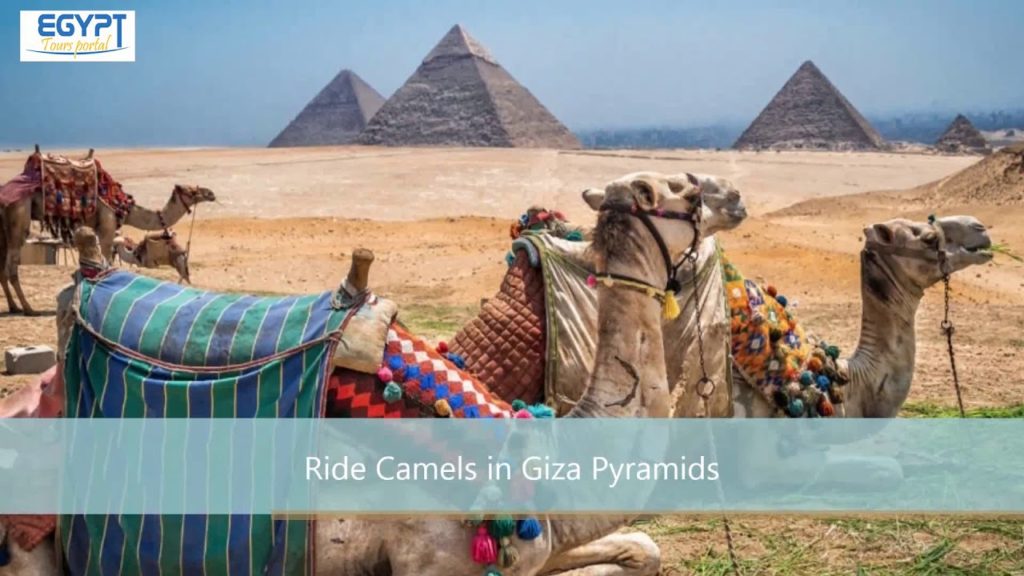 Private Day Trip to Cairo from Hurghada By Plane and Return By Bus Private Day Trip to Cairo from Hurghada By Plane and Return By Bus