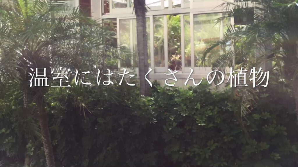 【Kanucha bay & resort】カヌチャリゾートを一周してみた