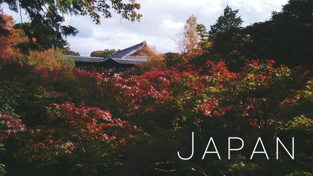 Japan Trip '19 - Lost my girl but got a Luigi in return?!