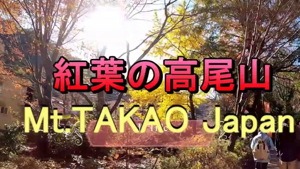 【Visit to Mt.Takao, Japan】Autumn Leaves and Mountain　高尾山の紅葉