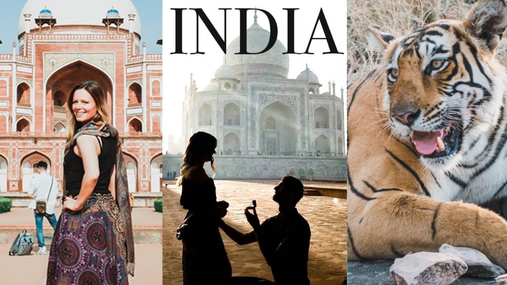 Golden Triangle INDIA Tour: Tigers & Getting Engaged at Taj Mahal 🕌🐅