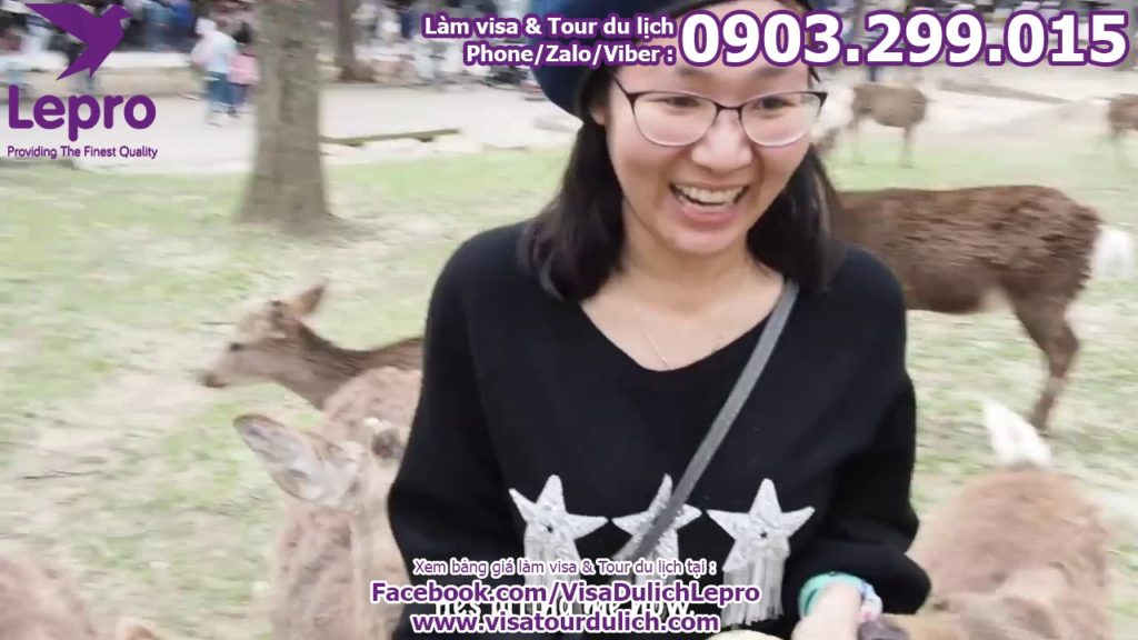 Dịch vụ làm visa bao đậu - Các điểm đến du lịch nổi tiếng ở tại Nhật Bản