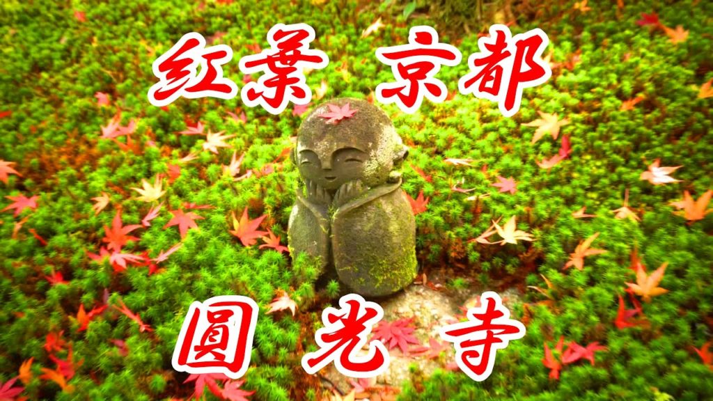 【4K】💖紅葉 京都 圓光寺/Autumn leaves 「KYOTO ENKOUJI」2019