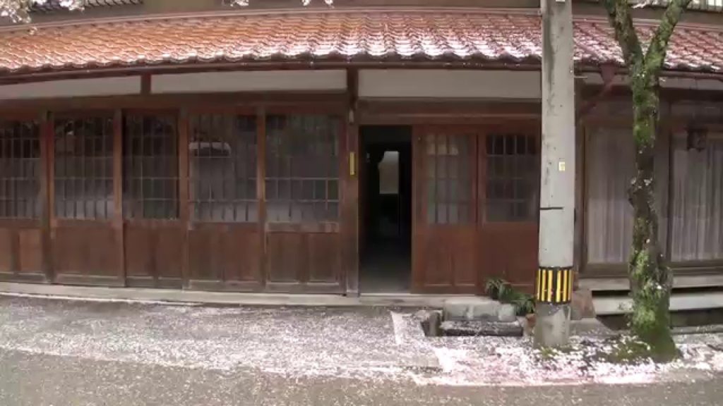 Cherry Blossom Street of Shinjo Village,Okayama 岡山県新庄村のがいせん桜