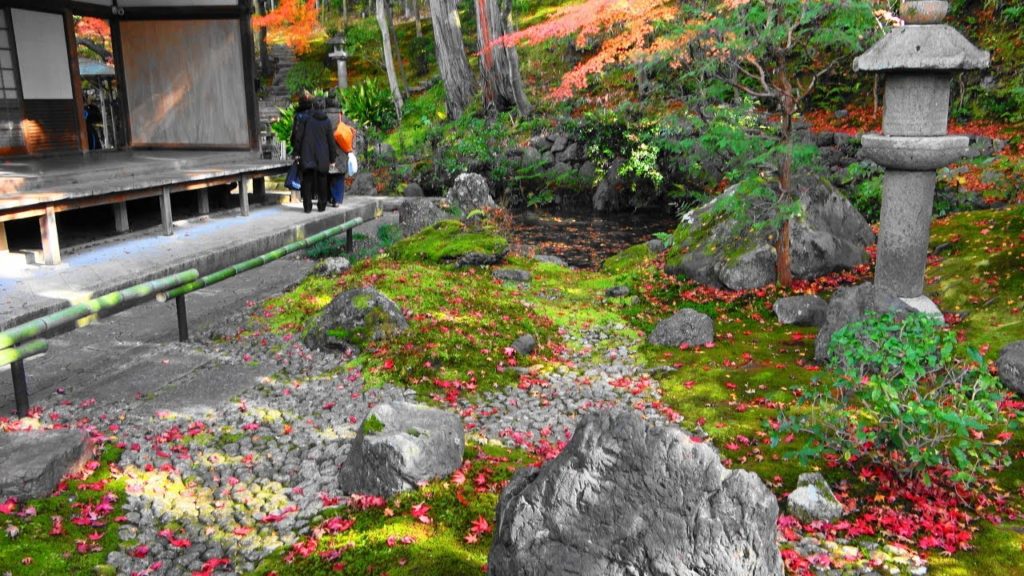 【4K】Kyoto Autumn Leaves Hidden Spot 2019 Eisyou-in - 京都紅葉の穴場 穴場度高め 栄摂院 | Japan walking guide