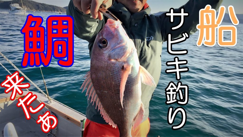 【船釣り】サビキ仕掛けで鯛とハマチが釣れた！boat fishing in wakayama