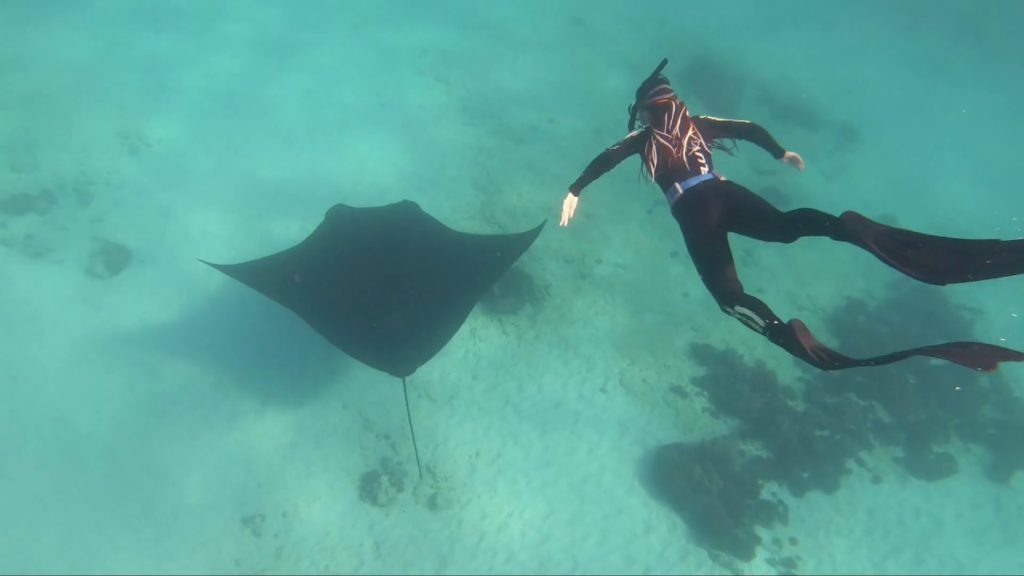 Freedive Trip to Komodo