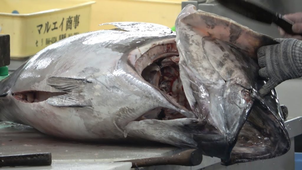 Japanese Street Food   Giant Yellowfin Tuna cutting for Sashimi  Okinawa Seafood Japan