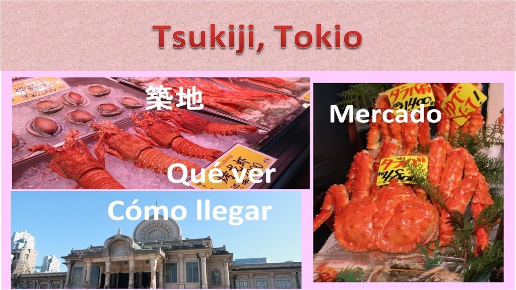 Mercado de Tsukiji,  Viaje a Tokio - Travel to Tokyo -