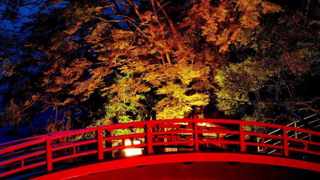 【養老渓谷 紅葉ライトアップ 2019.11下旬】Travel to Japan. Illumination Yoro keikoku valley.Awamata Falls.