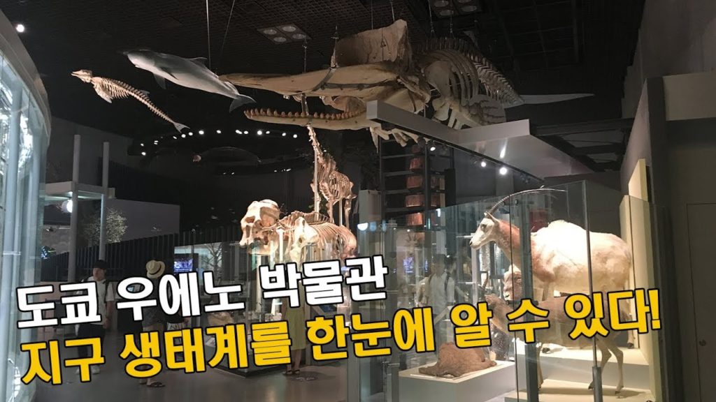 프리미어프로 노이즈 효과 적용 | 일본 여행 코스 추천 | 지구 생태계를 한눈에 알아볼 수 있는 일본 도쿄 우에노 박물관