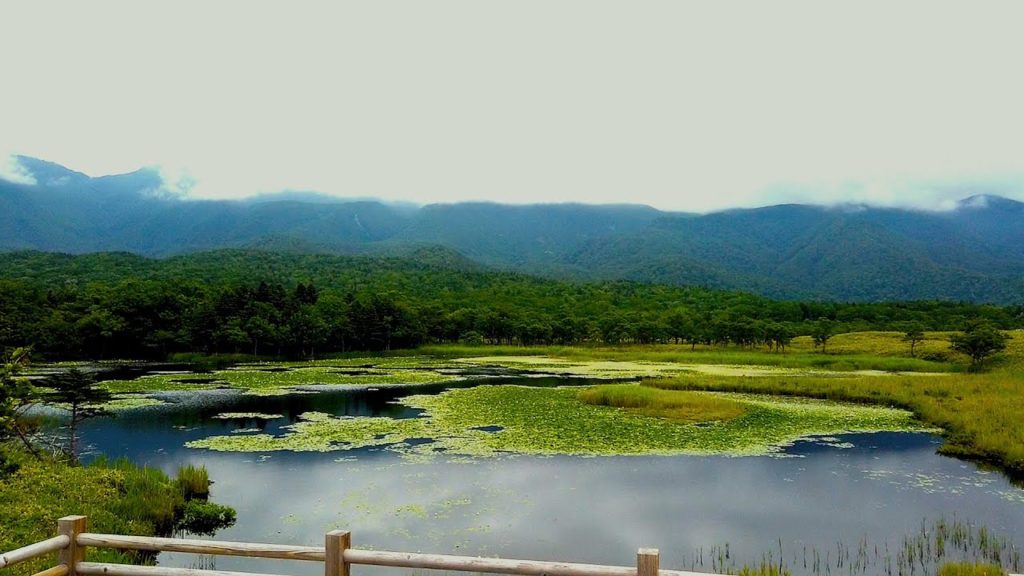 Japan Walk - Shiretoko National Park (知床五湖/知床国立公園) - Hokkaido