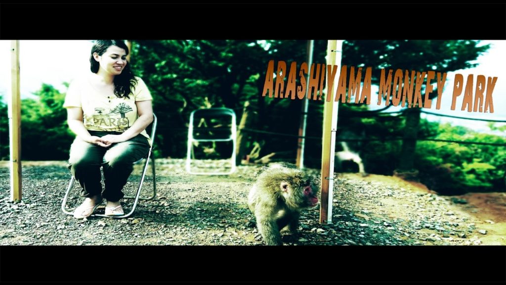 Parque dos Macacos Kyoto -Japão (Arashiyama Monkey Park tour)