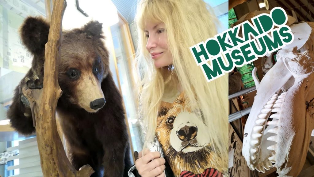 Adeyto 🏞️ Eastern Hokkaido Wildlife Museum Shiretoko Nosuke Peninsula Rausu Utoro 📽️ HUAWEI P20PRO Adeyto 🏞️ Eastern Hokkaido Wildlife Museum Shiretoko Nosuke Peninsula Rausu Utoro 📽️ HUAWEI P20PRO