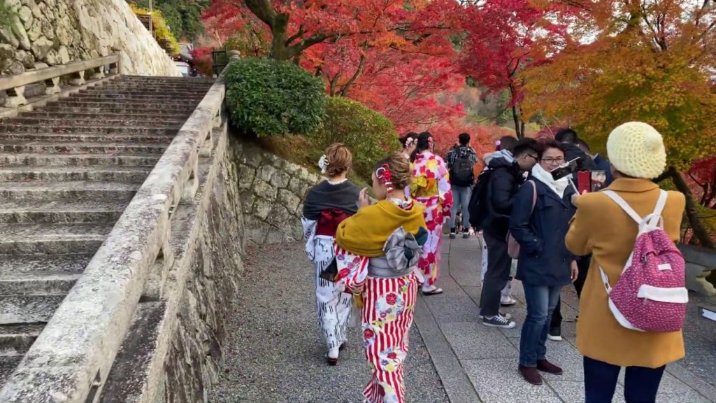 【 SingReef Travels ⁴ᴷ⁶⁰】Walking in Kiyomizudera in Kyoto, Japan (iPhone 11 Pro Max)