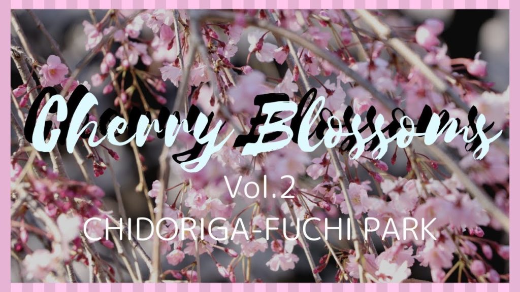 JAPAN TRIP | CHERRY BLOSSOM 2019 | vol.2 | TOKYO CHIDORIGA-FUCHI PARK